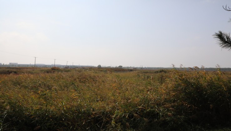 營口華君凈地535259.2㎡