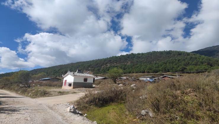 云南寧蒗華君林權